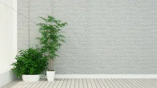 Brick terrace Zoom virtual background