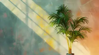 Painted wall with palm Zoom virtual background