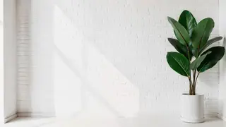 White brick and plant Zoom virtual background